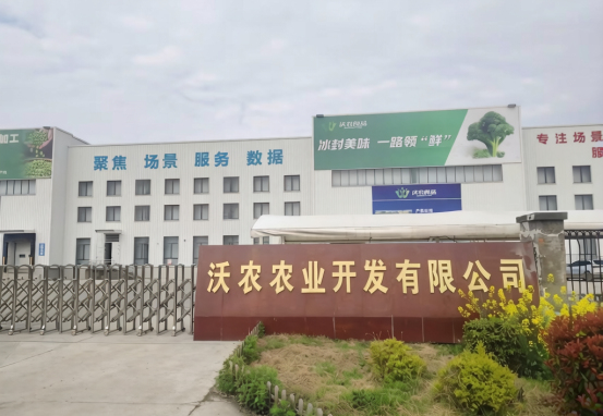 公司介绍